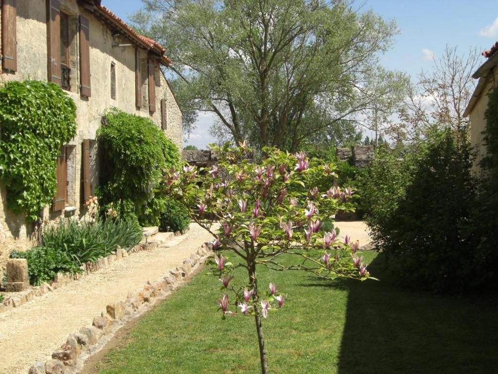 Le Mas D'Anjou Hotel Tigné Esterno foto